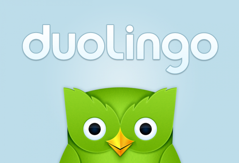 duolingo.com 