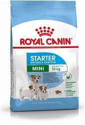 royal canin mini starter 3 kg küçük irk yavru köpek maması yorumları, royal canin mini starter 3 kg küçük irk yavru köpek maması kullananlar