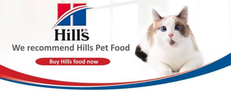 hill's kedi maması 