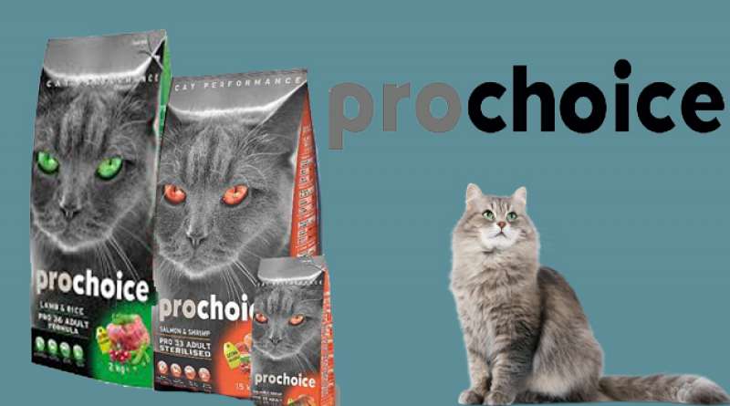 pro choice kedi maması 